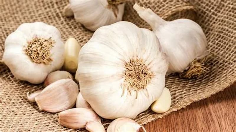 سیر خراسان بنفش طعمی قوی و رایحه ای تند و تیز